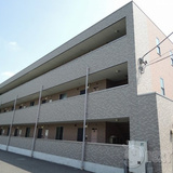 アンプルールフェールドリーミ
