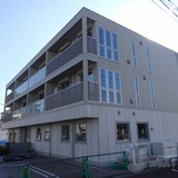 ルアナ林間