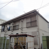 エバグリーン