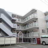 グレースアイ