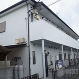 ハウスカツラ