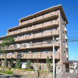 フレール森野