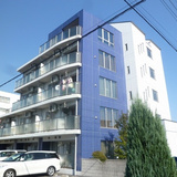 プロデフォンテ(PuroDeFonte)