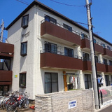プリムローズ