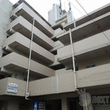 シャトレーシブヤ