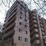 サンアリーナ相模原西門桜通り