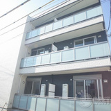 アペックスシフォン(APEXシフォン)