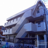 エムフォレスト