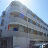 マインズ大和