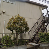 シティハイムセンゲン