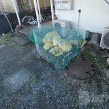 メゾンひなた