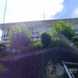 玉川学園アパート