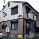 シャトルグリーン