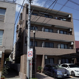 鷸