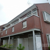 ビクトリアミューズ