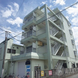 カルトセゾントナミ