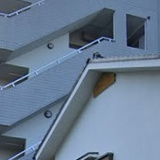リバティホワイト