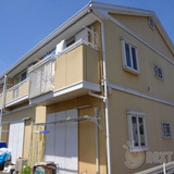 ハイムカトレア