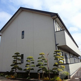 アムールオオヌマ(アムールOhnuma)