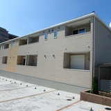 コスモス