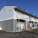 トラッド光