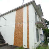 サンホワイトF204