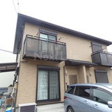 サクラ