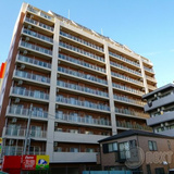 Primal Machida