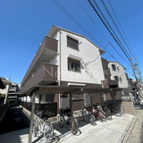 グリーンフォレストT