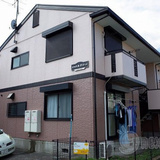 シャトルグリーン