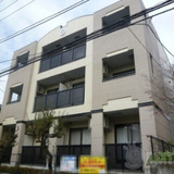 ステラニテオ