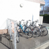 ヴィーナス