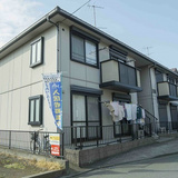 リリーズひばり