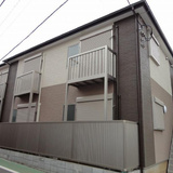 ウィンドフォール