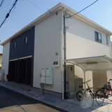 クリサンテーム