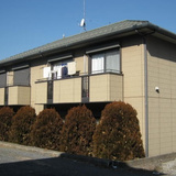 アムール