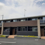 サニーグレイス