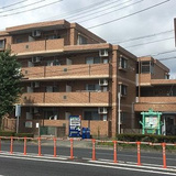 サンフィールVII