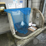 クリオ淵野辺参番館