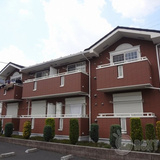 ヴィオラ・マードレ