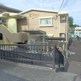 オリーブ