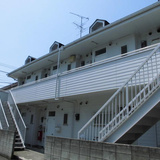 ジャンクハイツ