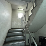 キャトルセゾン清新