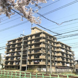 ドミ中屋