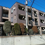 セレニーテ