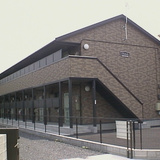 サクラ