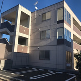 向日葵