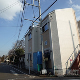 ルピナス