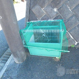 ハイツサクマ