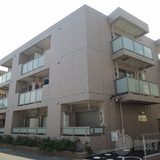 ameijia玉川学園